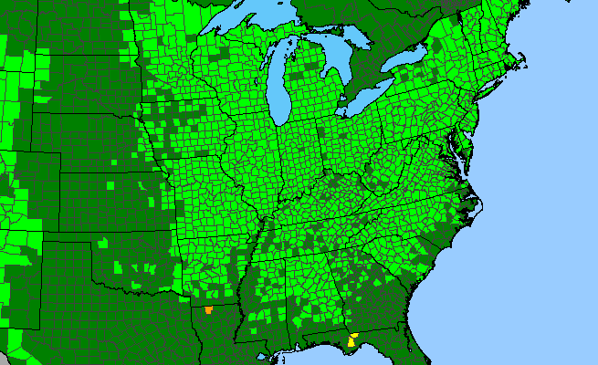 The range of Maianthemum racemosum